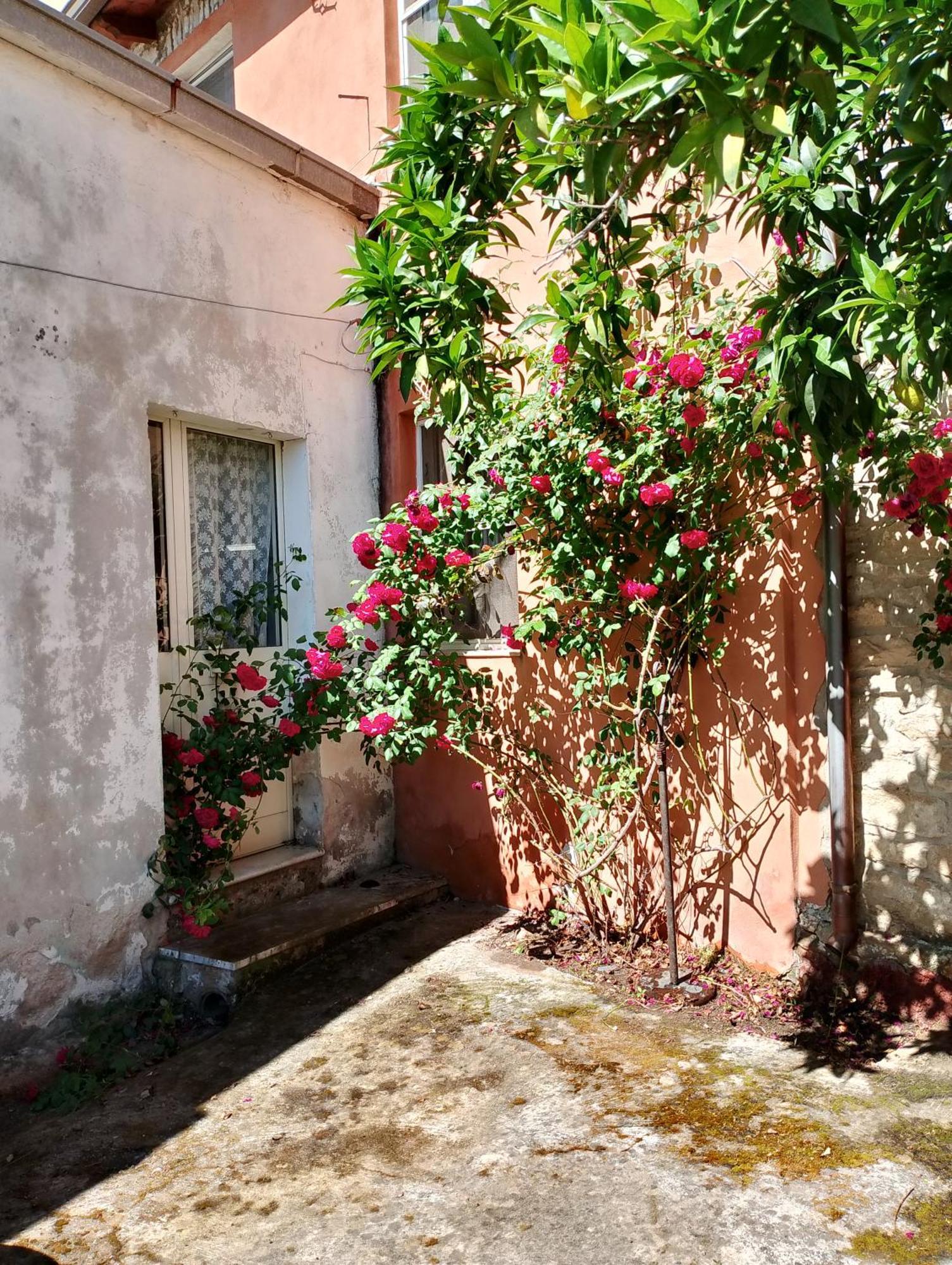 La Corte Degli Aranci Senorbi Екстер'єр фото